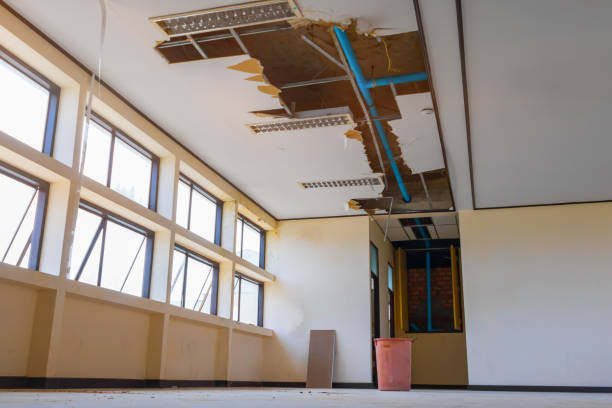 Water damage restoration insurance claims in MN