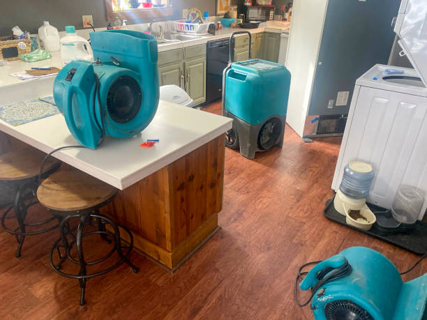Best Residential water damage restoration  in Independence, MN