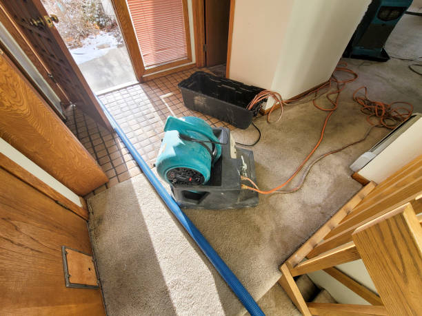 Best Flood restoration services  in Independence, MN