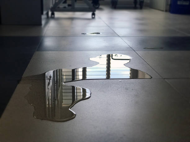 Best Water damage cleanup near me  in Independence, MN