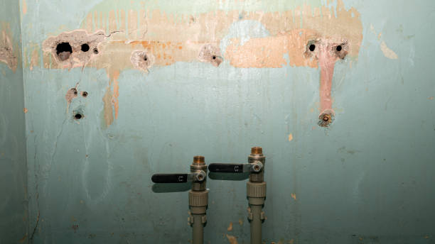 Best Emergency water damage restoration  in Independence, MN