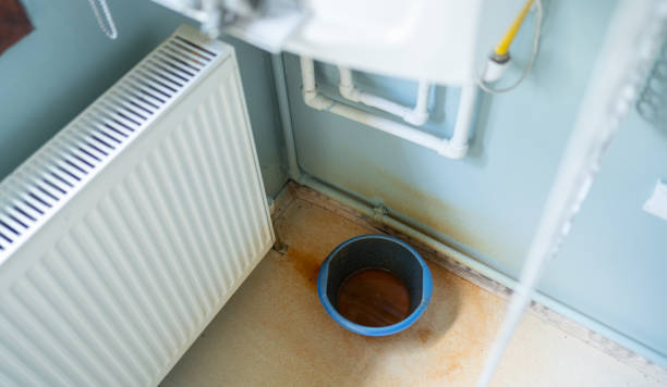 Best Ceiling water damage repair  in Independence, MN