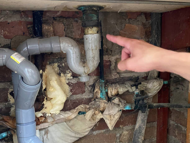 Best Fire Damage Restoration  in Independence, MN