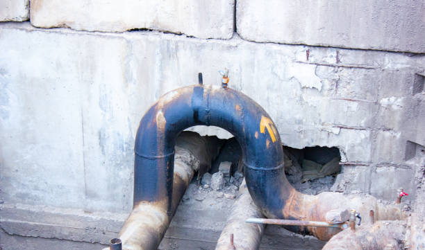 Best Local water damage restoration  in Independence, MN