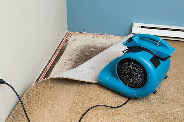 Best 24/7 water damage repair  in Independence, MN